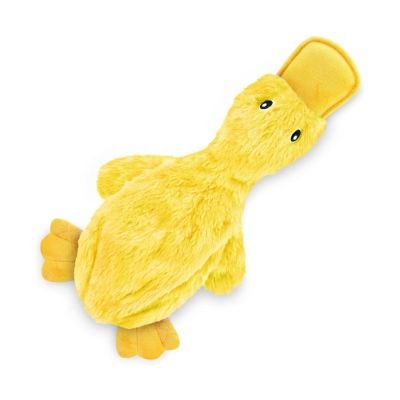 Best Pet Supplies Crinkle Dog Toy for Small, Medium, and Large Breeds